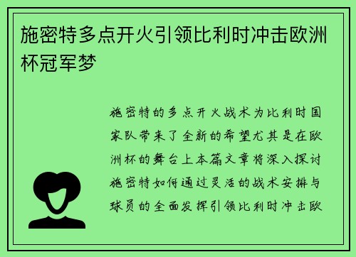 施密特多点开火引领比利时冲击欧洲杯冠军梦