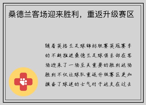 桑德兰客场迎来胜利，重返升级赛区