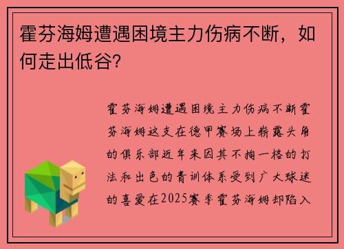 霍芬海姆遭遇困境主力伤病不断，如何走出低谷？