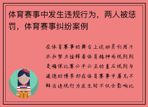 体育赛事中发生违规行为，两人被惩罚，体育赛事纠纷案例
